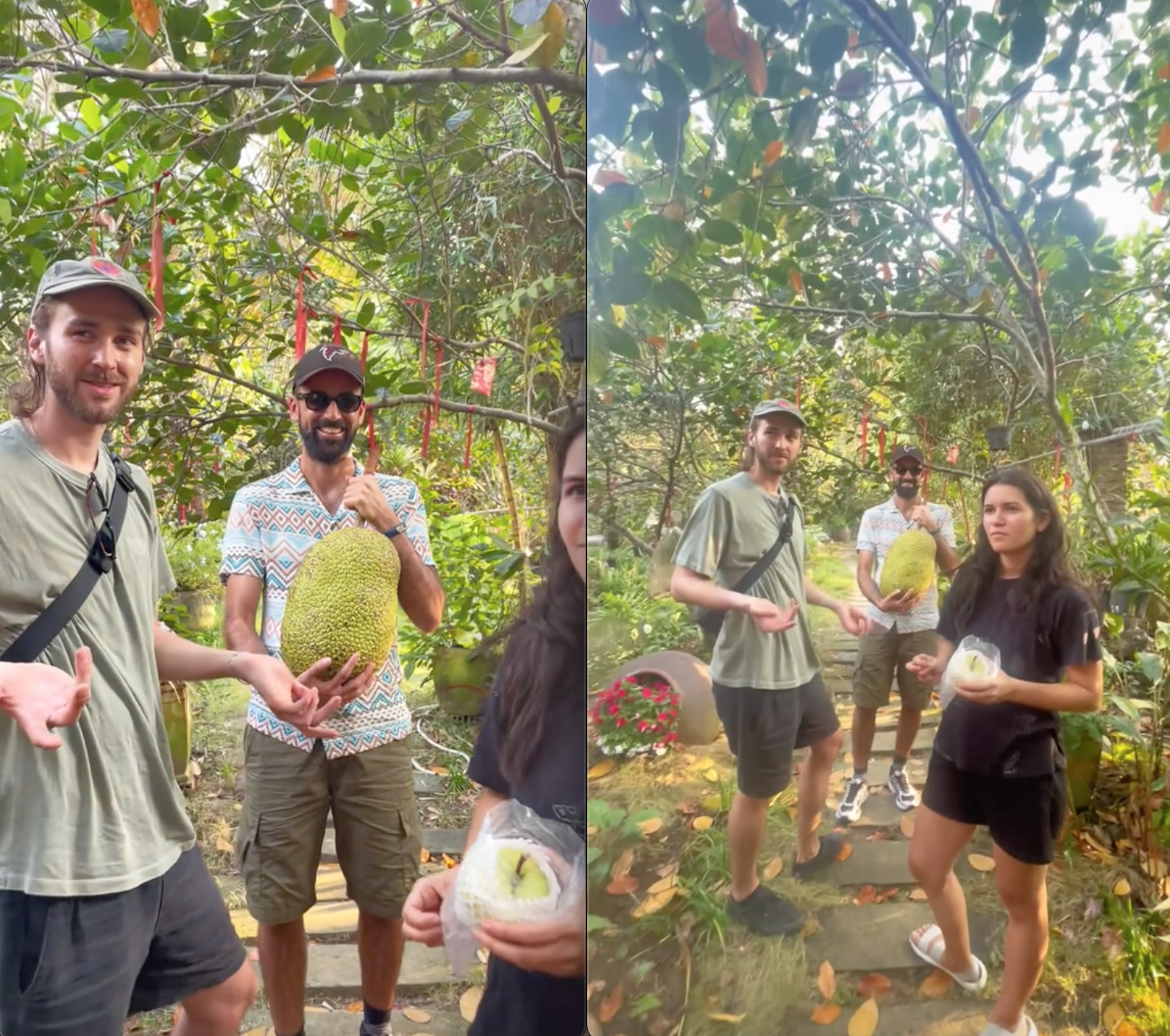 Khách Tây lóng ngóng khi thử hái mít tại Việt Nam, phản ứng sau khi hái được khiến dân tình bật cười- Ảnh 1.