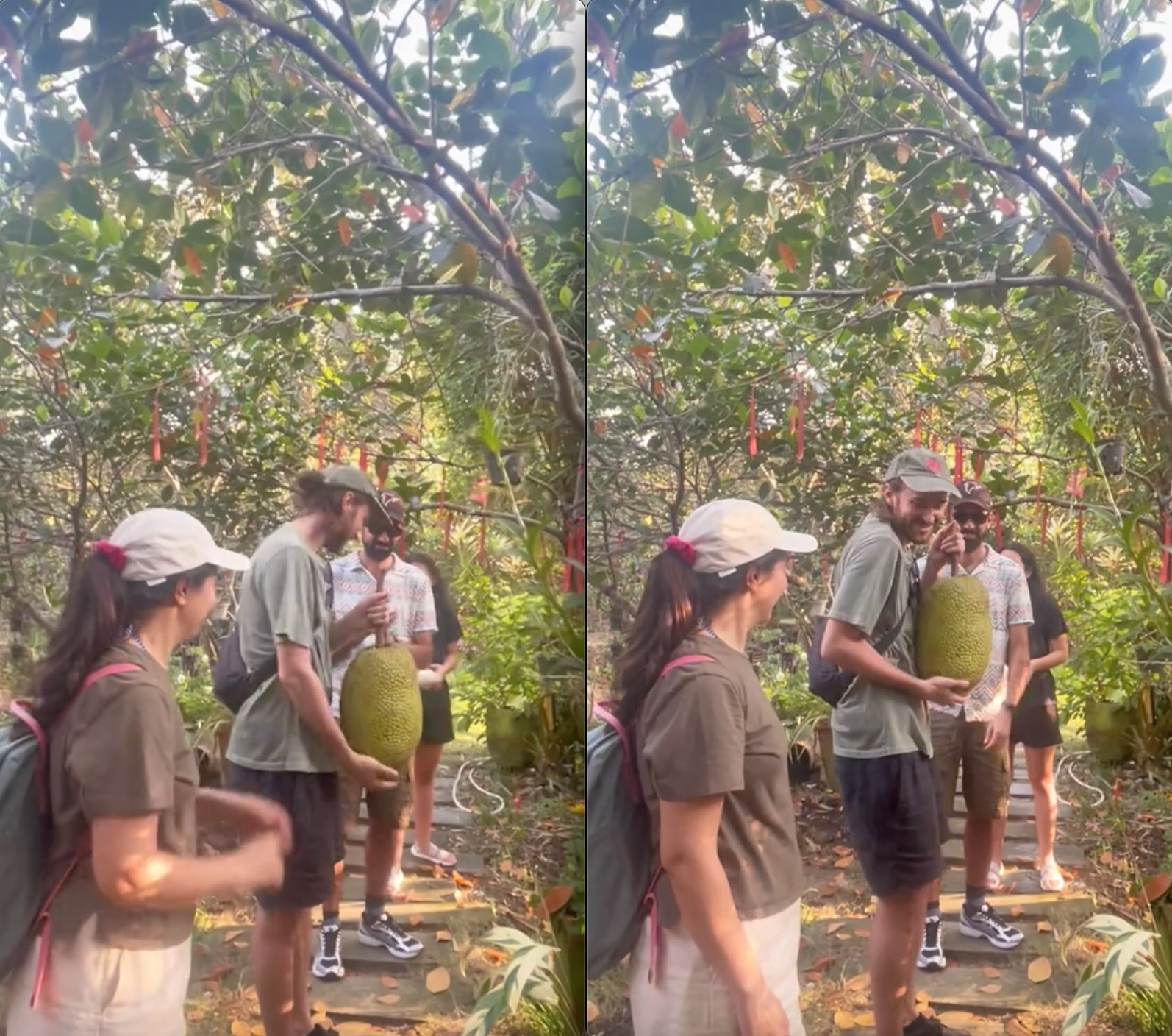 Khách Tây lóng ngóng khi thử hái mít tại Việt Nam, phản ứng sau khi hái được khiến dân tình bật cười- Ảnh 3.