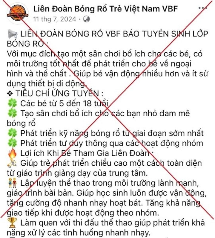 Đăng ký học bóng rổ cho con trên mạng, người phụ nữ ở Hà Nội bị lừa 1,1 tỷ đồng- Ảnh 1.