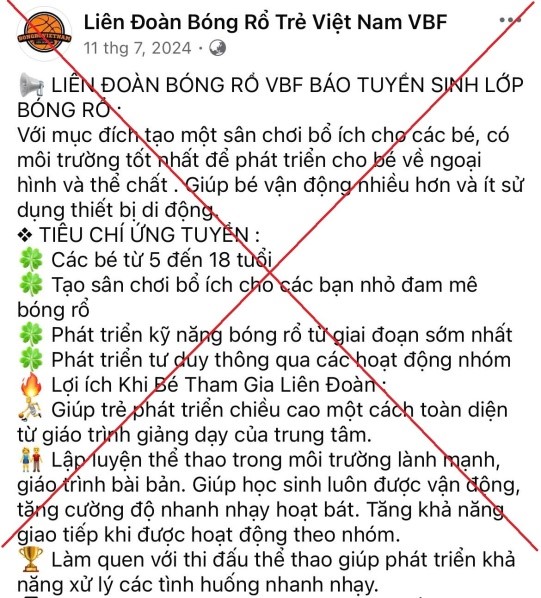 Người phụ nữ ở Hà Nội bị lừa hơn 1 tỷ đồng khi đăng ký khóa học bóng rổ cho con trên mạng- Ảnh 1.