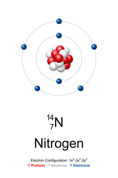 Tại sao 1 nguyên tử Nitơ duy nhất có thể cách mạng hóa toàn bộ nền dược phẩm trên thế giới?- Ảnh 2.