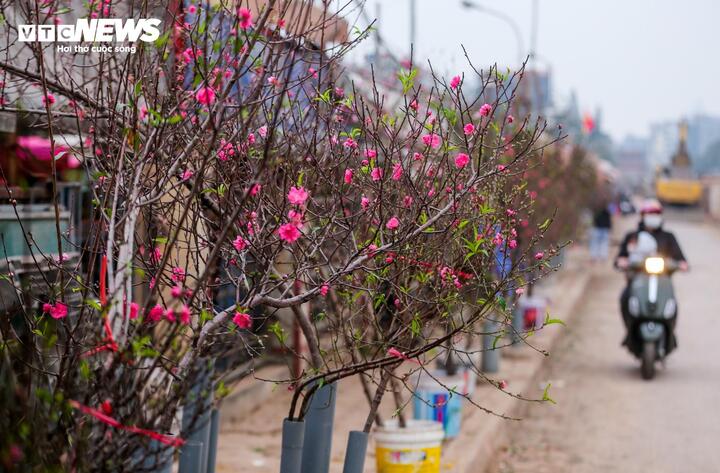 Mùa đông năm nay ít mưa hơn, Tết Nguyên đán khả năng rét khô- Ảnh 1.