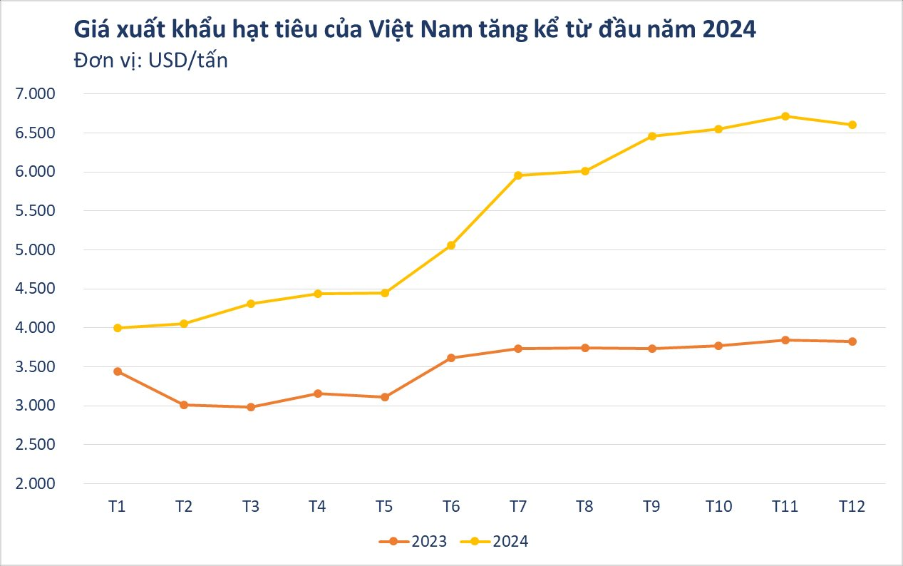 Germany continuously closes orders for a super expensive product: Vietnam exports as much as the whole world combined, earning billions of dollars thanks to shocking price increases - Photo 2.