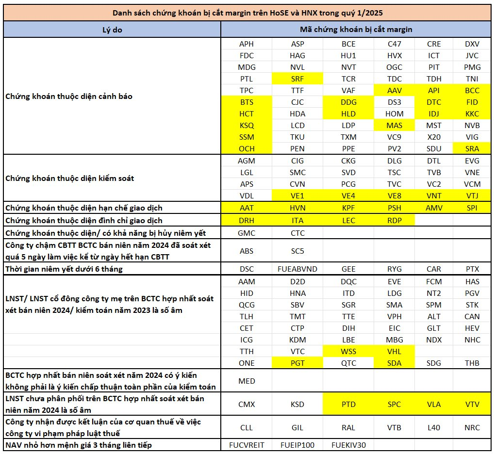 Hàng trăm mã chứng khoán bị cắt margin trong quý 1/2025- Ảnh 1.