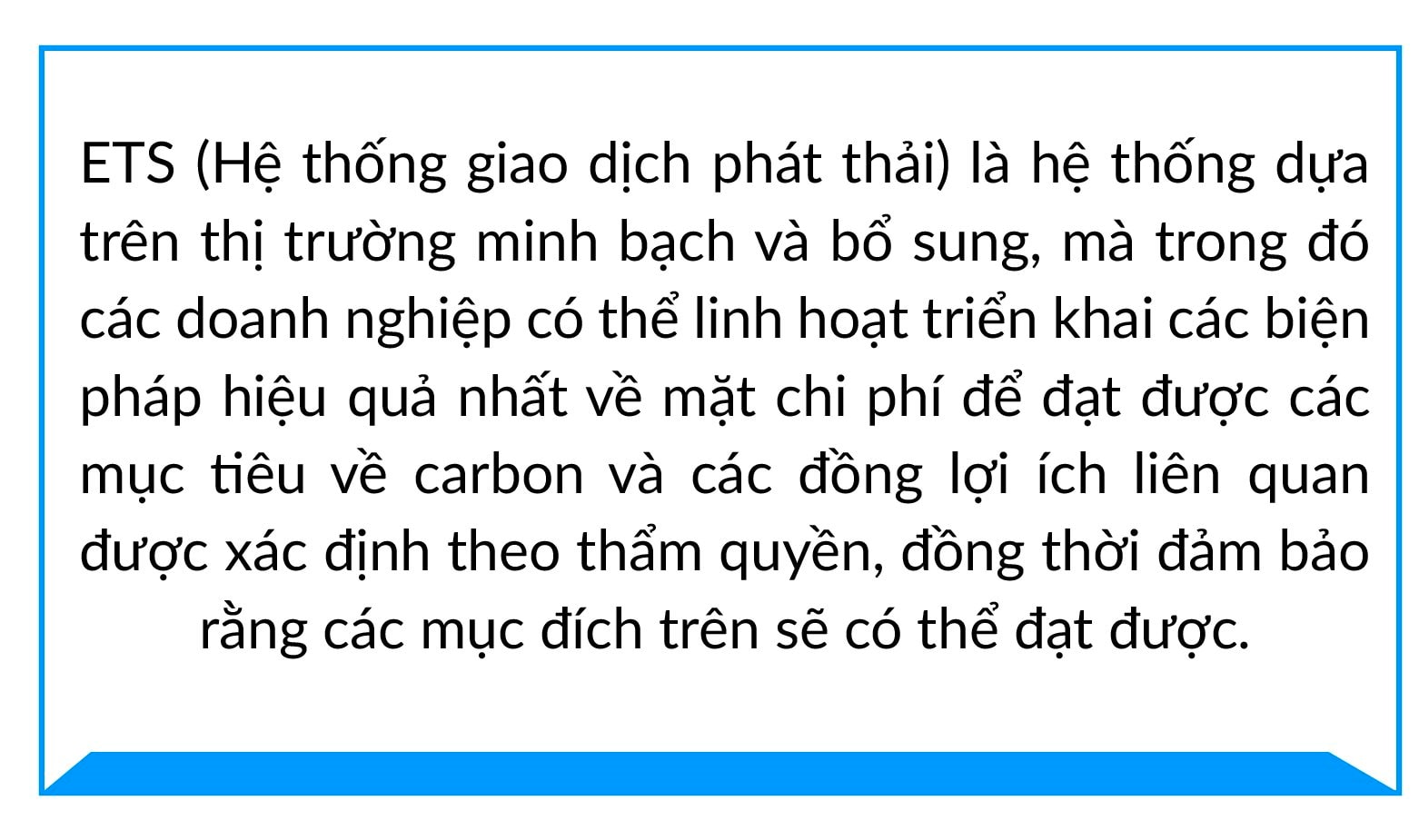 Bí quyết để Việt Nam xây dựng thị trường carbon mang bản sắc của riêng mình, bài học từ chuyên gia môi trường toàn cầu- Ảnh 2.