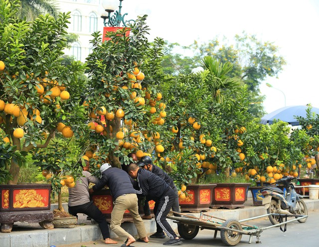 Không khí Tết tràn ngập phố phường Hà Nội: Ảnh hưởng của bão nhưng 1 điều vẫn không hề thay đổi với năm trước- Ảnh 17.