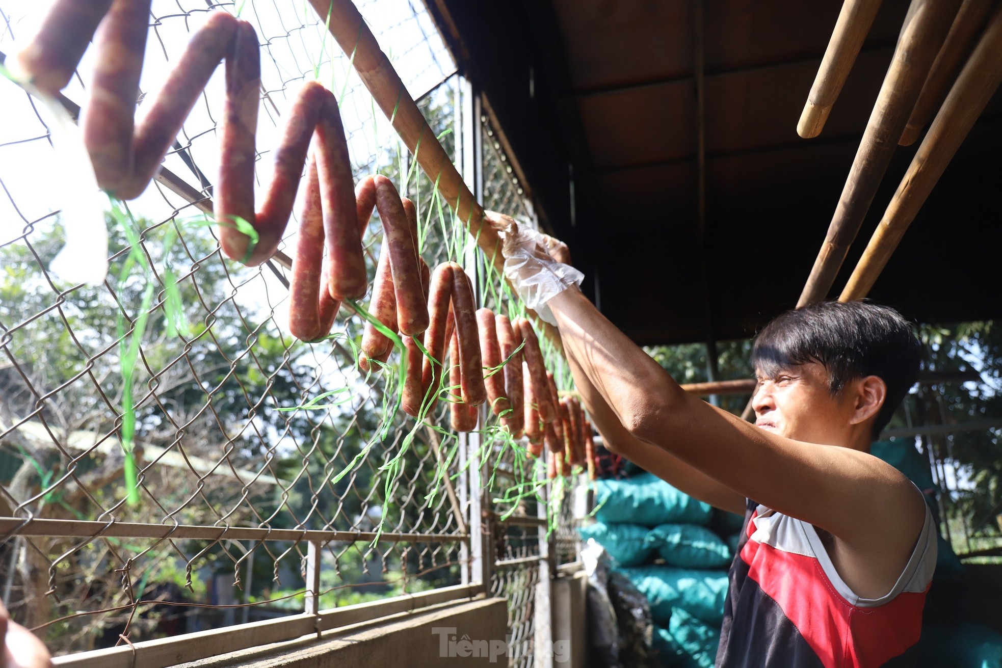 Bò giàng có gì mà trở thành đặc sản, gây sốt dịp Tết?- Ảnh 4.