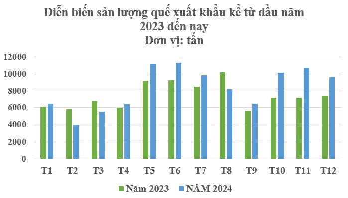 Sản vật trời ban cho Việt Nam là loài cây gỗ quý hiếm của thế giới: Từ thân đến lá đều hái ra tiền, thu về 274 triệu USD trong năm 2024- Ảnh 2.