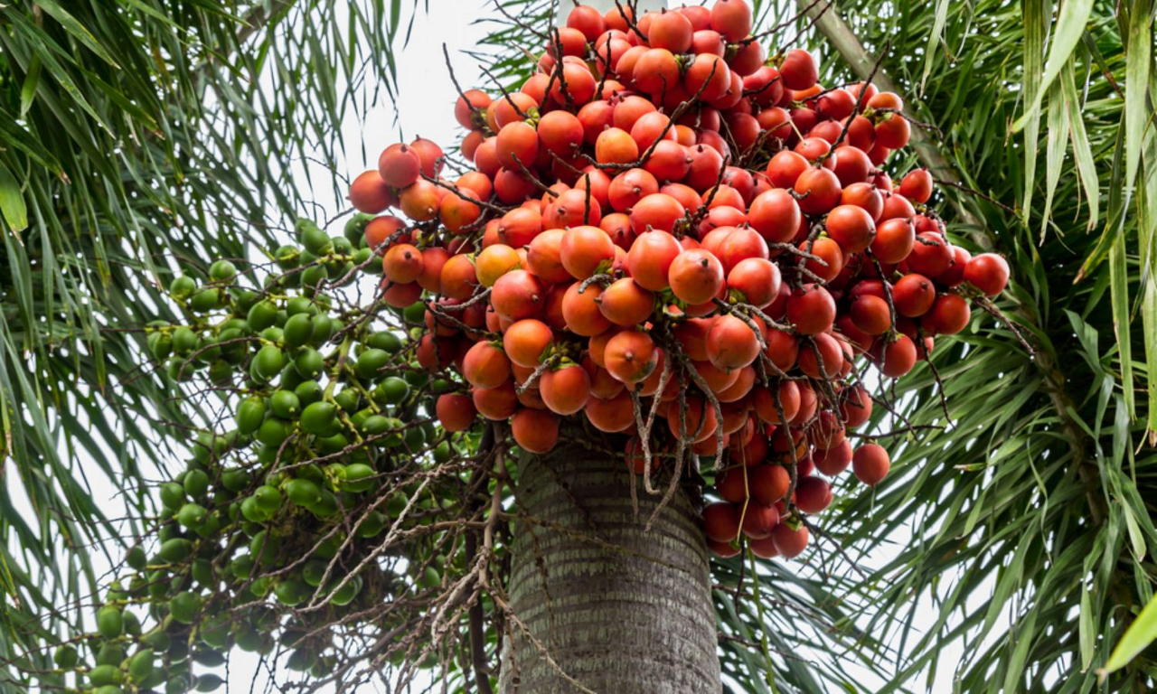 photo-1737099792978 photo-1737099792978