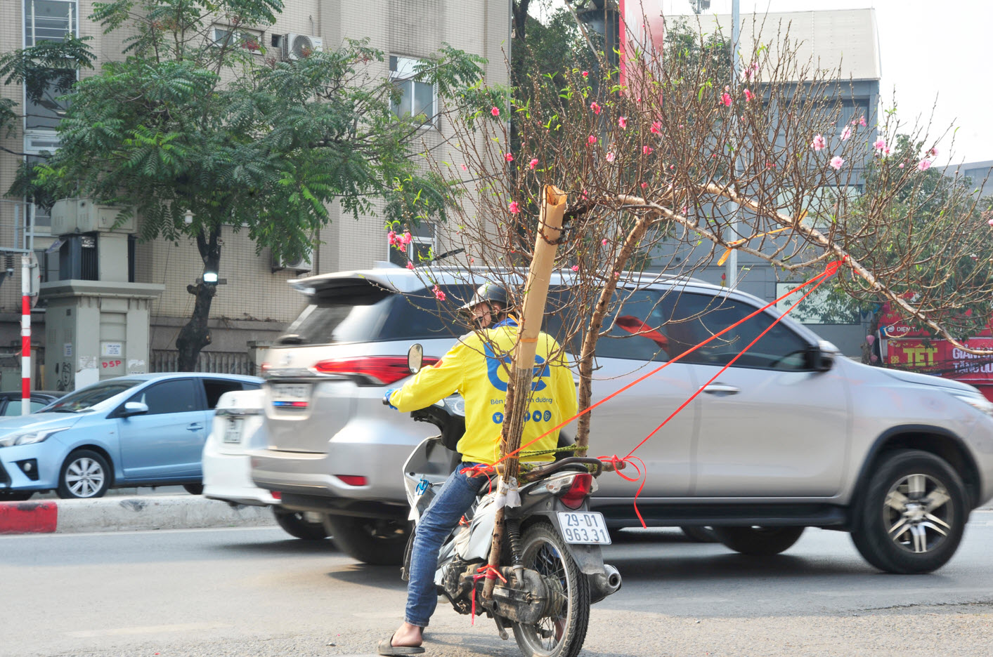 Chủ vườn tiết lộ bí kíp chọn đào dáng huyền đúng thời điểm để chơi Tết- Ảnh 7.