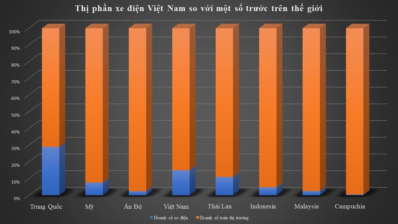 thi-phan-xe-dien-vieetn-nam-1737301030801-17373010309901940886797.jpg