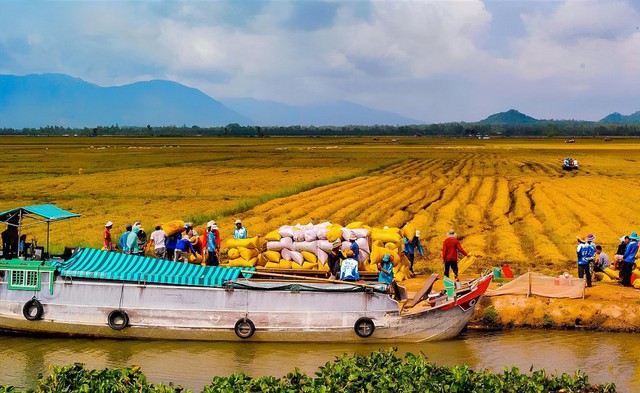 Việt Nam vừa đạt 2 kỷ lục lớn trong ngành xuất khẩu tỷ đô: Đứng top 3 thế giới- Ảnh 2.