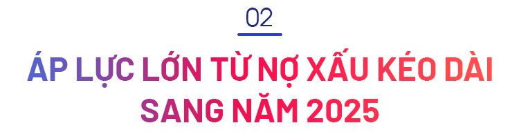 TS. Nguyễn Quốc Hùng: Năm 2025, ngành ngân hàng sẽ đúng tinh thần “vừa chạy vừa xếp hàng’’- Ảnh 3.