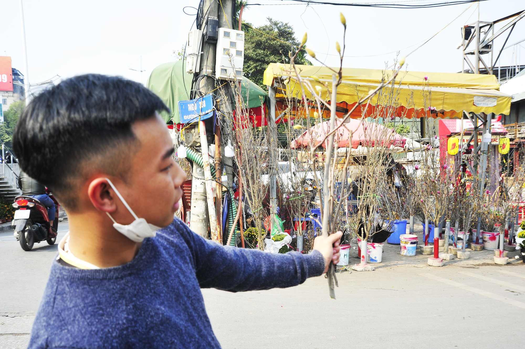 Đây chính là loại hoa hút khách Hà Nội dịp Tết Nguyên đán: Không chỉ đẹp mà còn mang ý nghĩa phong thuỷ- Ảnh 5.