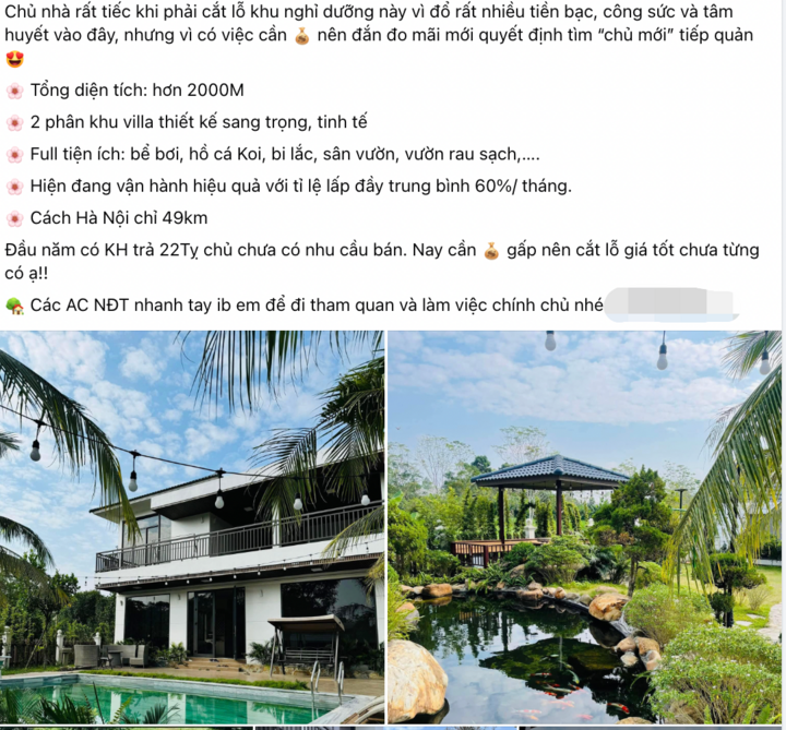 Homestay ngày càng ế khách, nhiều nhà đầu tư tháo chạy- Ảnh 2.