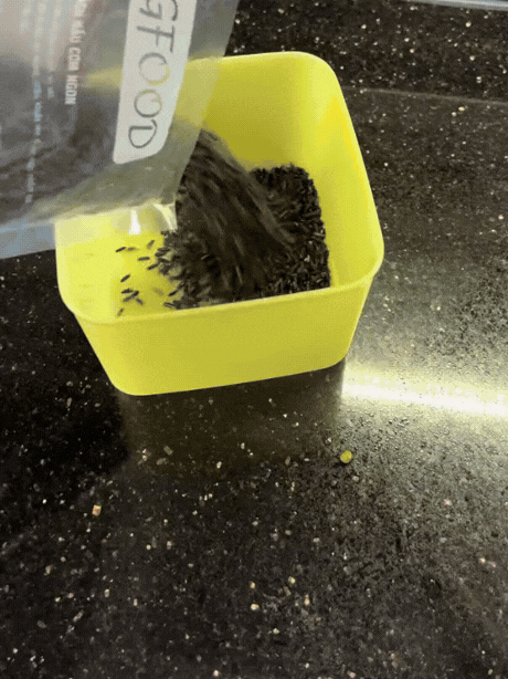 Mẹ đảm chia sẻ 2 món đồ Mẹ đảm chia sẻ 2 món đồ