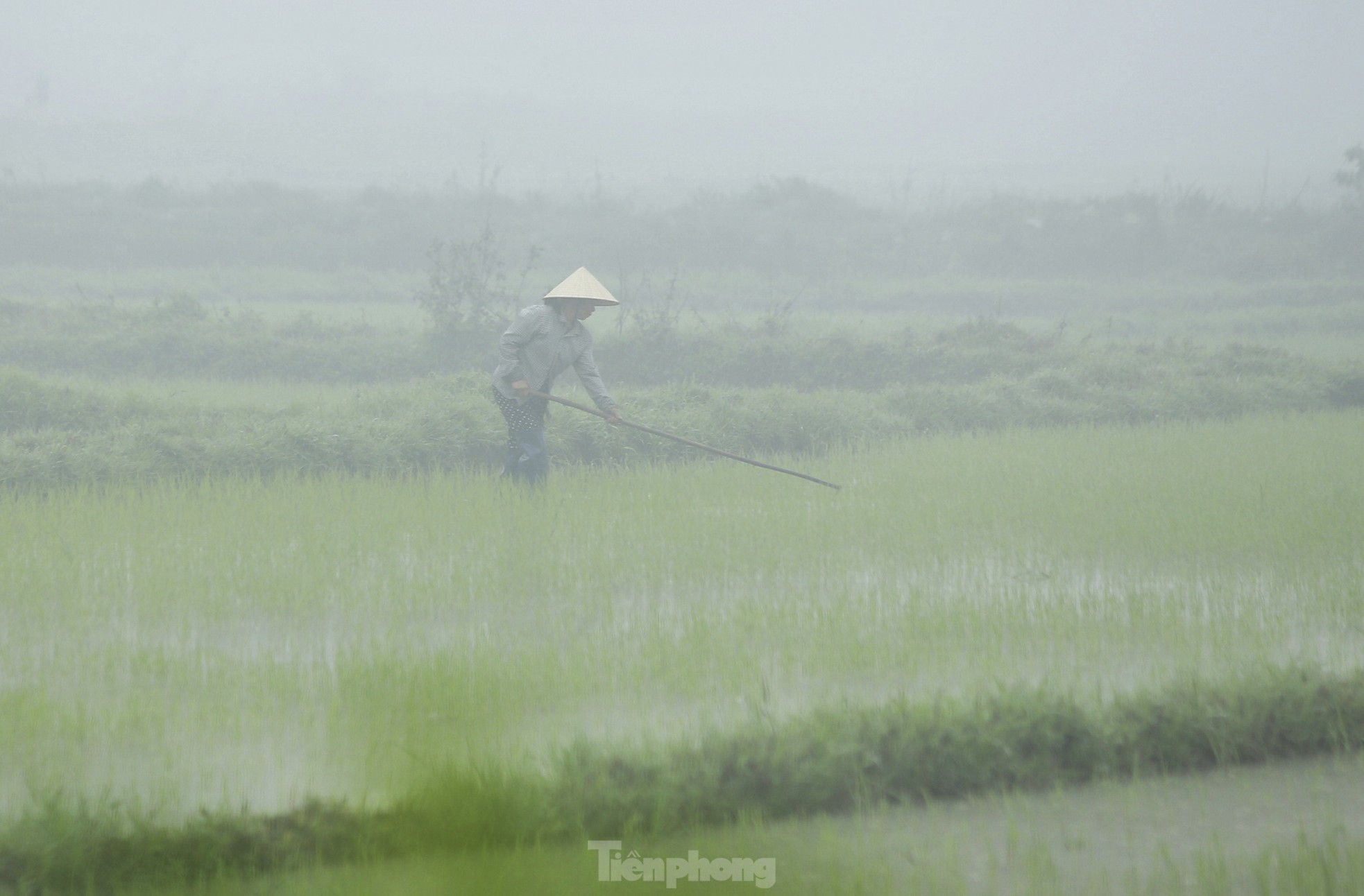 Sương mù dày đặc, đường phố Hà Tĩnh mờ mịt như ở Sa Pa- Ảnh 10.