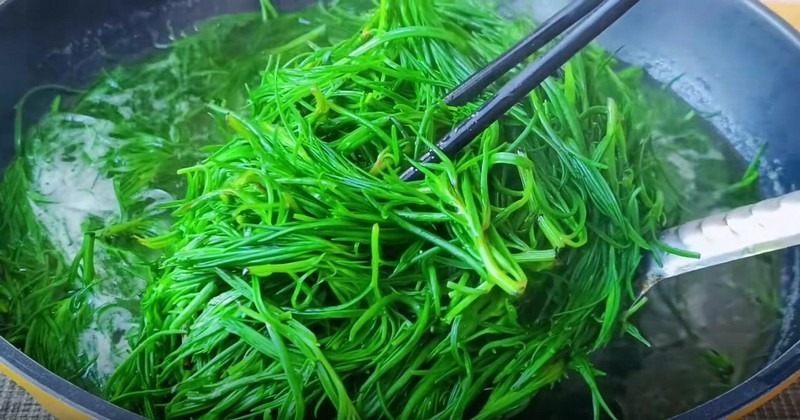 Loại cây mọc dại xưa bị "ghẻ lạnh", nay được ví như "vàng mười" giá cao ngất ngưởng 100.000 đồng/kg- Ảnh 3. Loại cây mọc dại xưa bị "ghẻ lạnh", nay được ví như "vàng mười" giá cao ngất ngưởng 100.000 đồng/kg- Ảnh 3.