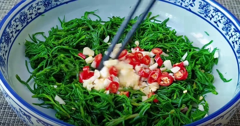 Loại cây mọc dại xưa bị "ghẻ lạnh", nay được ví như "vàng mười" giá cao ngất ngưởng 100.000 đồng/kg- Ảnh 2. Loại cây mọc dại xưa bị "ghẻ lạnh", nay được ví như "vàng mười" giá cao ngất ngưởng 100.000 đồng/kg- Ảnh 2.