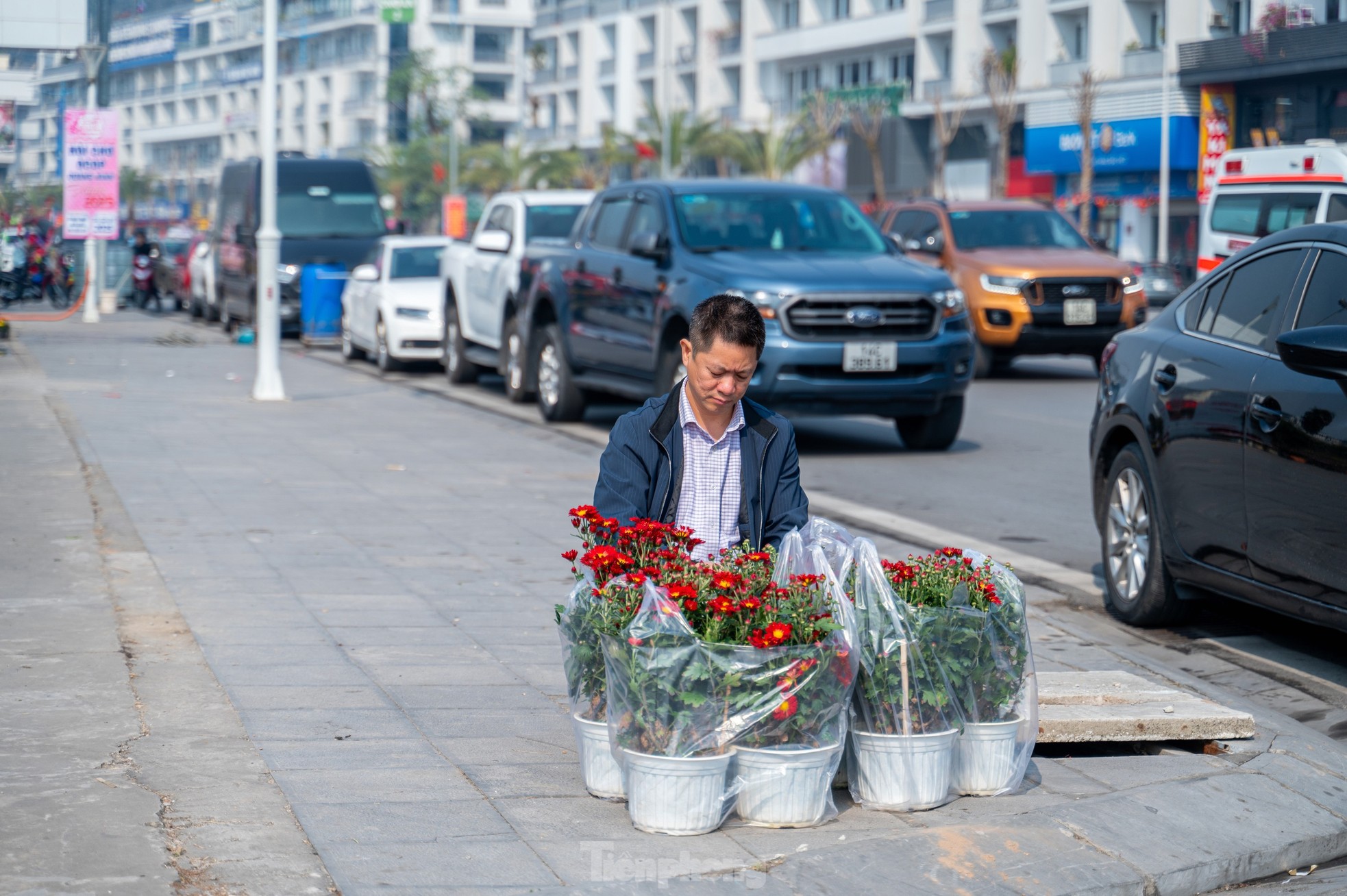 Cặp tùng có giá hơn 2,7 tỷ xuất hiện tại hội chợ hoa ở Hạ Long- Ảnh 18.