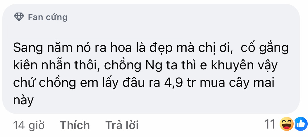 Bức ảnh khiến một người 