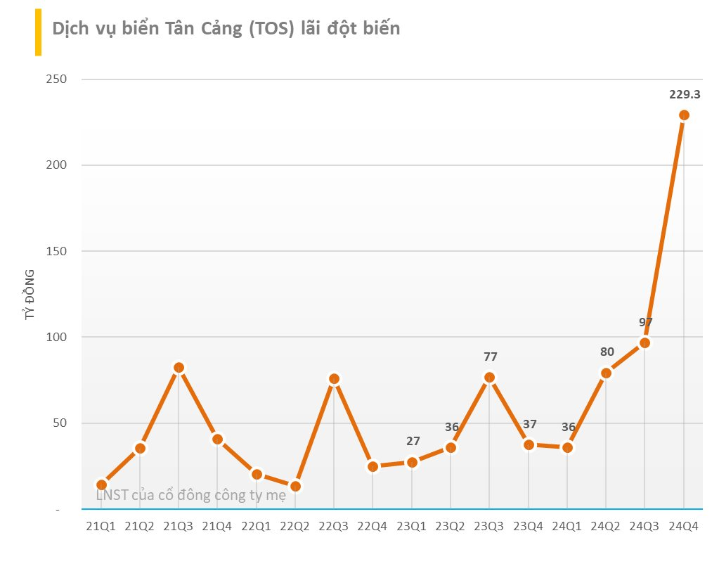Một cổ phiếu "họ" Tân Cảng nhuộm "sắc tím" lên đỉnh lịch sử sau khi công bố lợi nhuận quý 4 tăng bằng lần- Ảnh 2.