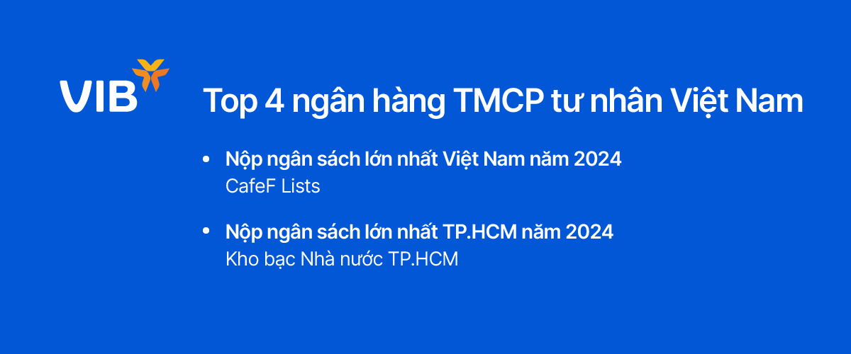 VIB: Lợi nhuận năm 2024 đạt 9.000 tỷ đồng, tăng trưởng tín dụng 22%- Ảnh 6.