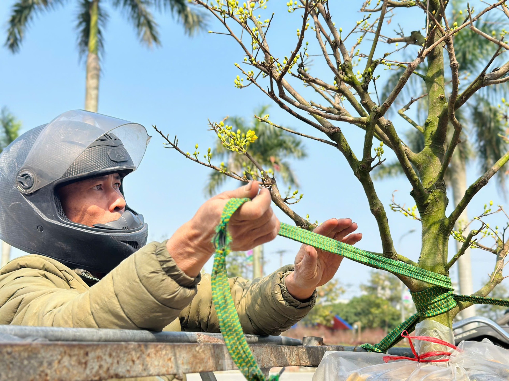 Nghề 'chở Tết' đến mọi nhà kiếm tiền triệu mỗi ngày- Ảnh 10. Nghề 'chở Tết' đến mọi nhà kiếm tiền triệu mỗi ngày- Ảnh 10.