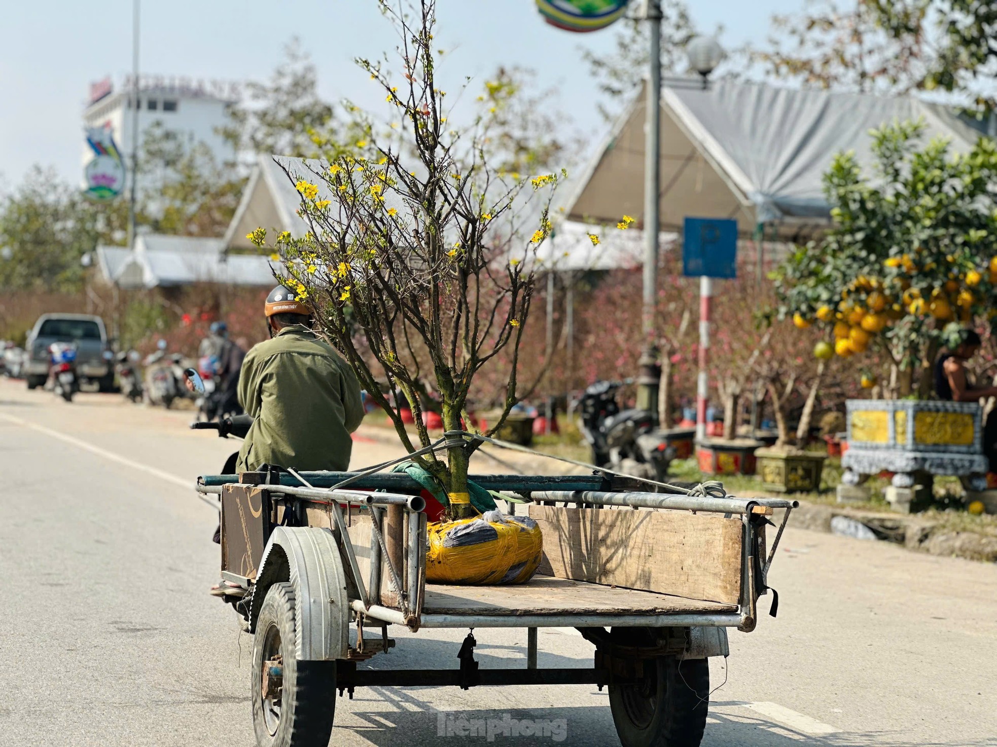 Nghề 'chở Tết' đến mọi nhà kiếm tiền triệu mỗi ngày- Ảnh 5. Nghề 'chở Tết' đến mọi nhà kiếm tiền triệu mỗi ngày- Ảnh 5.