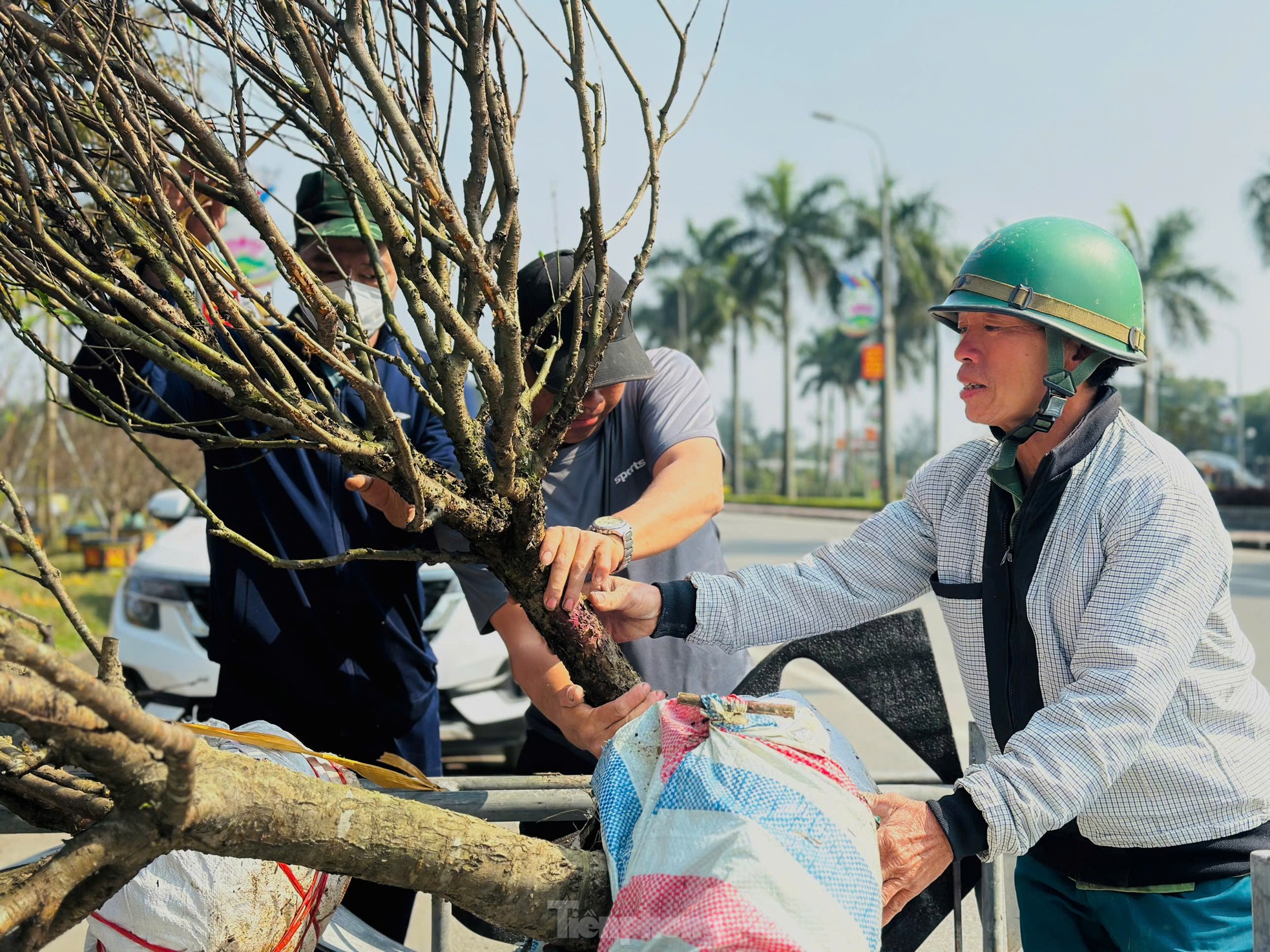 Nghề 'chở Tết' đến mọi nhà kiếm tiền triệu mỗi ngày- Ảnh 2. Nghề 'chở Tết' đến mọi nhà kiếm tiền triệu mỗi ngày- Ảnh 2.