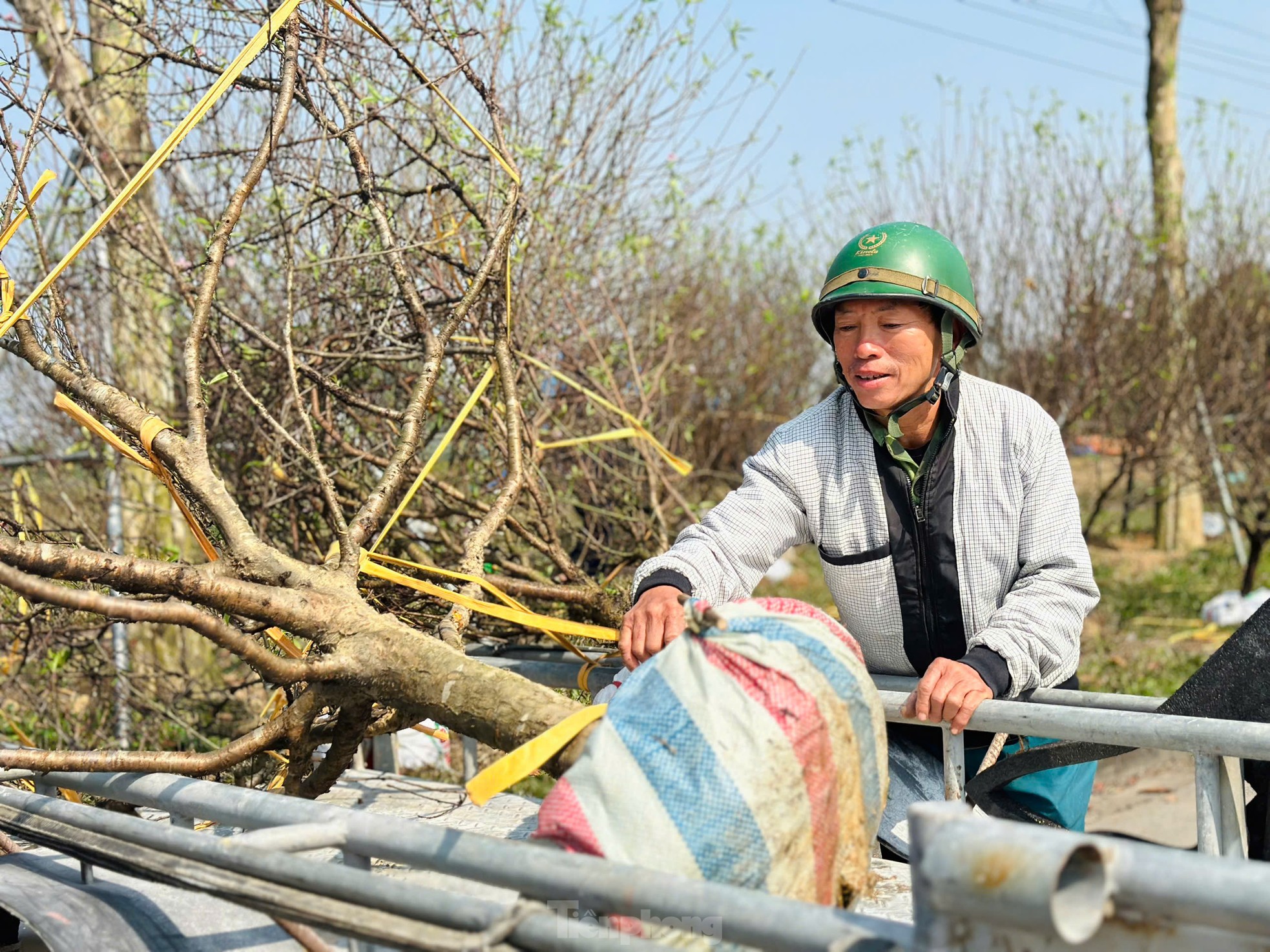 Nghề 'chở Tết' đến mọi nhà kiếm tiền triệu mỗi ngày- Ảnh 6. Nghề 'chở Tết' đến mọi nhà kiếm tiền triệu mỗi ngày- Ảnh 6.