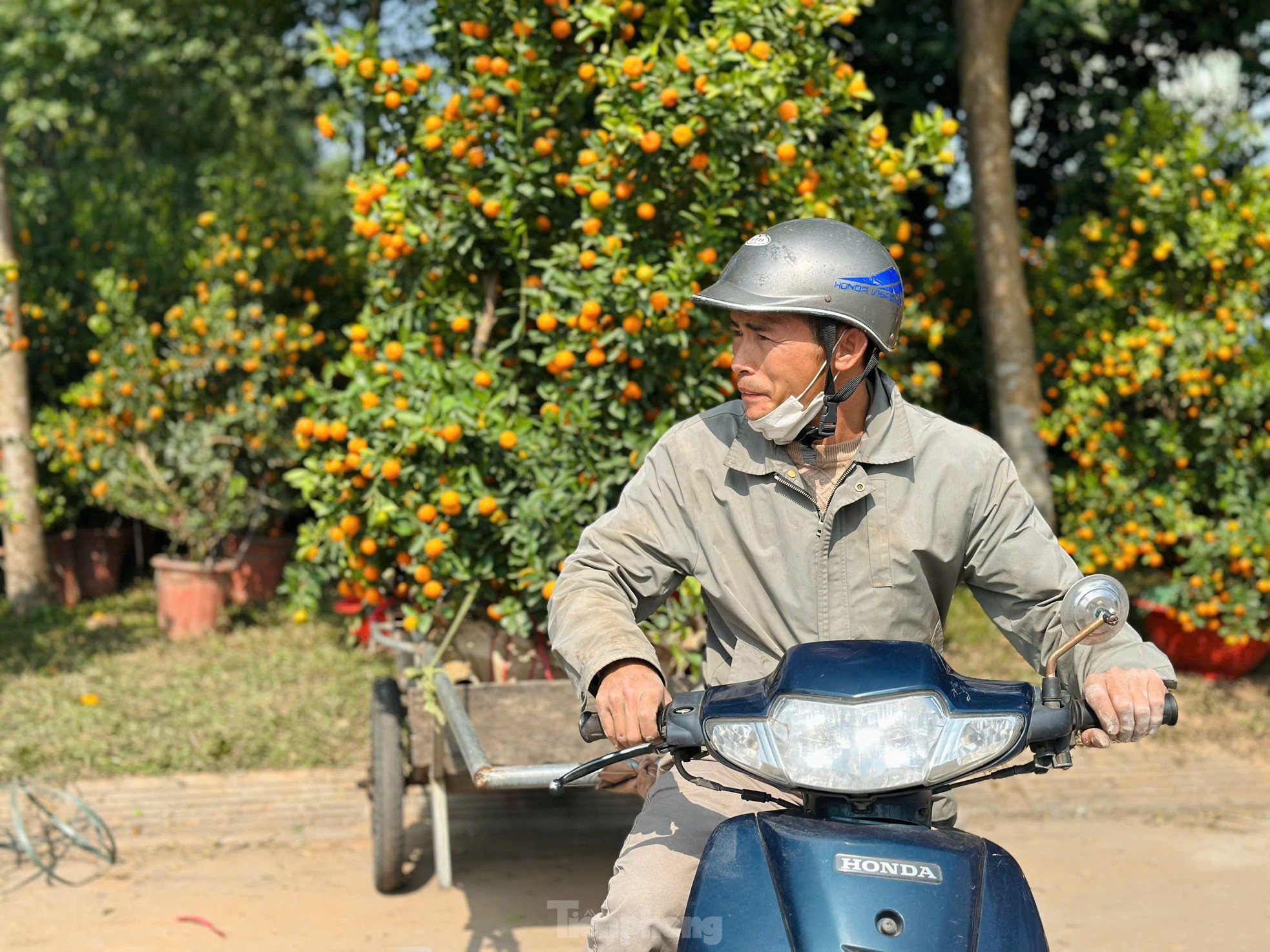 Nghề 'chở Tết' đến mọi nhà kiếm tiền triệu mỗi ngày- Ảnh 8. Nghề 'chở Tết' đến mọi nhà kiếm tiền triệu mỗi ngày- Ảnh 8.