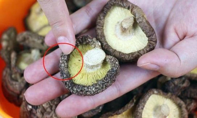 Mua nấm hương, mộc nhĩ ngày Tết thấy 3 dấu hiệu này thì nên bỏ ngay kẻo "rước họa" vào người- Ảnh 1. Mua nấm hương, mộc nhĩ ngày Tết thấy 3 dấu hiệu này thì nên bỏ ngay kẻo "rước họa" vào người- Ảnh 1.