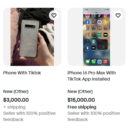 iPhone cài sẵn TikTok trở thành "hàng độc", có người rao bán tới 50.000 USD- Ảnh 1.