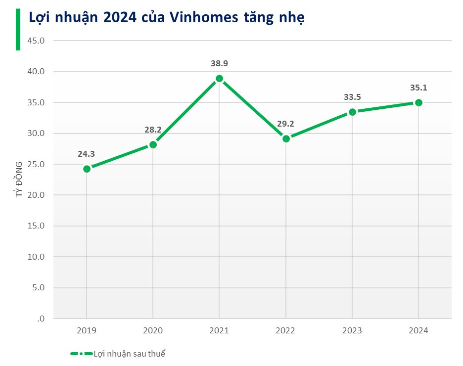 Cập nhật BCTC quý 4/2024 chiều 24/1: Hòa Phát, Vinhomes, Phát Đạt cùng các DN lớn ồ ạt công bố- Ảnh 4.