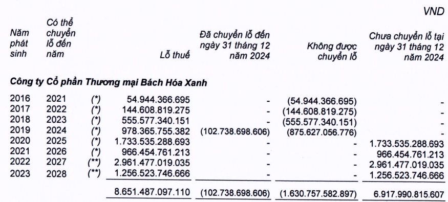 Cột mốc quan trọng: Bách Hóa Xanh năm đầu tiên đem lợi nhuận về cho MWG- Ảnh 1.