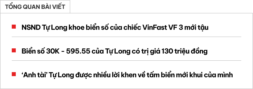 ‘Anh tài’ Tự Long khoe biển số mới trên VinFast VF 3 mới tậu: Giá trị 130 triệu, hàm ý ‘quanh năm đại phúc’- Ảnh 1.