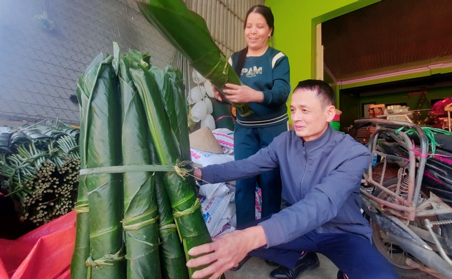 Hàng trăm hộ dân có Tết nhờ loại cây bán lá- Ảnh 2.