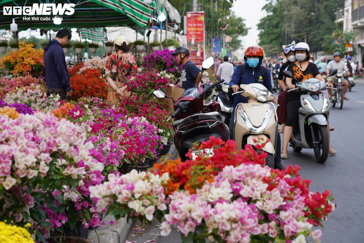 7 chợ hoa Tết nổi tiếng ở TP.HCM 'khách cứ đến là ôm hoa về'- Ảnh 2. 7 chợ hoa Tết nổi tiếng ở TP.HCM 'khách cứ đến là ôm hoa về'- Ảnh 2.