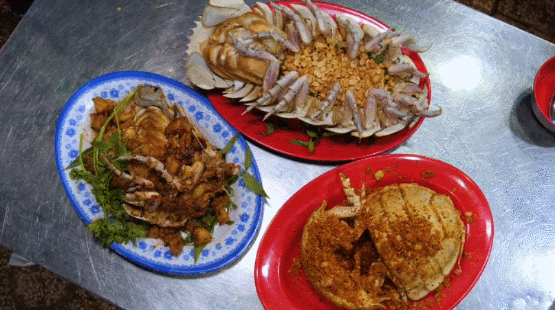 Các nhà khoa học quốc tế bất ngờ tìm thấy một loài bọ biển siêu khổng lồ, hoàn toàn mới ở Việt Nam, nhưng không phải dưới đáy biển, mà trong nhà hàng hải sản- Ảnh 8. Các nhà khoa học quốc tế bất ngờ tìm thấy một loài bọ biển siêu khổng lồ, hoàn toàn mới ở Việt Nam, nhưng không phải dưới đáy biển, mà trong nhà hàng hải sản- Ảnh 8.
