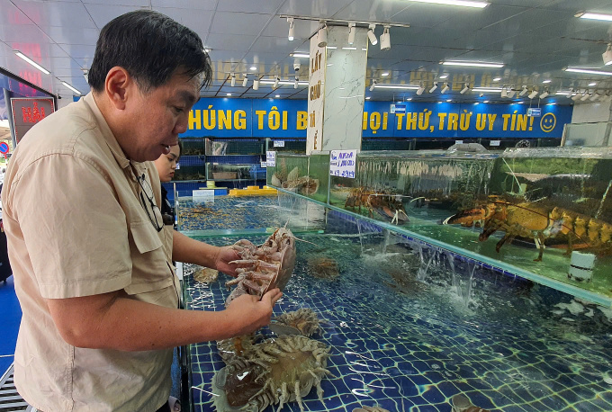 Các nhà khoa học quốc tế bất ngờ tìm thấy một loài bọ biển siêu khổng lồ, hoàn toàn mới ở Việt Nam, nhưng không phải dưới đáy biển, mà trong nhà hàng hải sản- Ảnh 2. Các nhà khoa học quốc tế bất ngờ tìm thấy một loài bọ biển siêu khổng lồ, hoàn toàn mới ở Việt Nam, nhưng không phải dưới đáy biển, mà trong nhà hàng hải sản- Ảnh 2.
