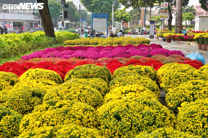 7 chợ hoa Tết nổi tiếng ở TP.HCM 'khách cứ đến là ôm hoa về'- Ảnh 5. 7 chợ hoa Tết nổi tiếng ở TP.HCM 'khách cứ đến là ôm hoa về'- Ảnh 5.