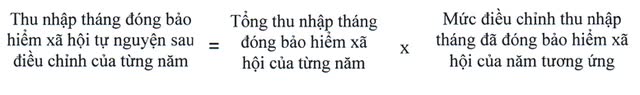 Quy định mới về căn cứ tính lương hưu- Ảnh 4.