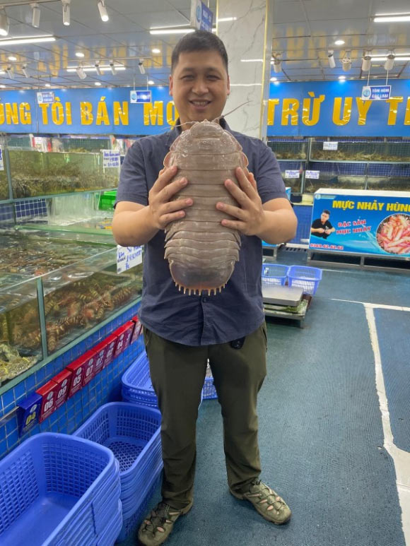 Các nhà khoa học quốc tế bất ngờ tìm thấy một loài bọ biển siêu khổng lồ, hoàn toàn mới ở Việt Nam, nhưng không phải dưới đáy biển, mà trong nhà hàng hải sản- Ảnh 7. Các nhà khoa học quốc tế bất ngờ tìm thấy một loài bọ biển siêu khổng lồ, hoàn toàn mới ở Việt Nam, nhưng không phải dưới đáy biển, mà trong nhà hàng hải sản- Ảnh 7.