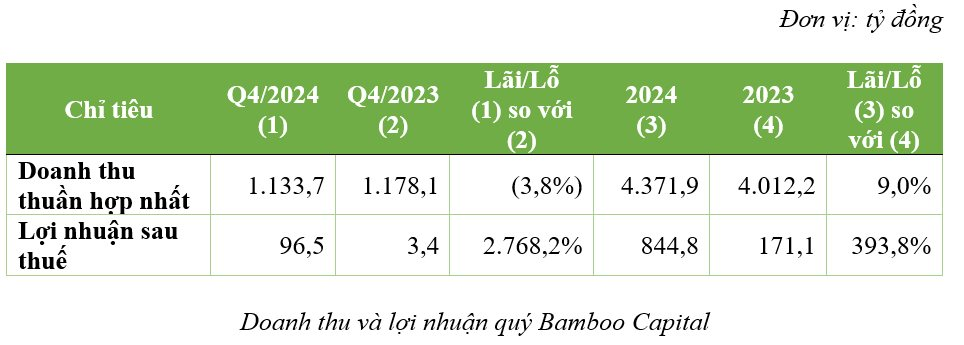 Bamboo Capital báo lãi 845 tỷ đồng trong năm 2024, tăng trưởng 394%- Ảnh 1.