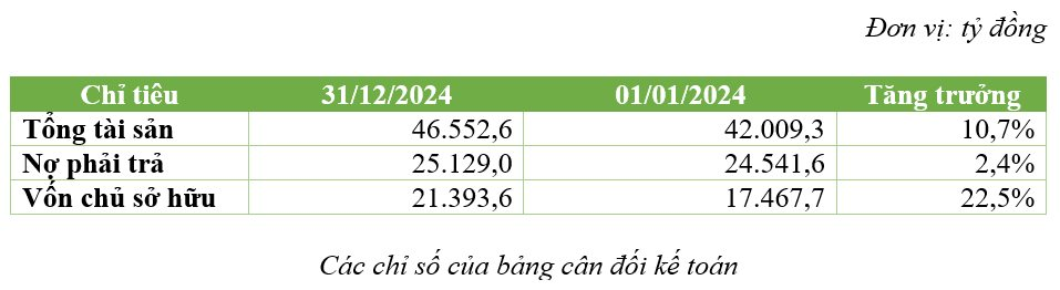 Bamboo Capital báo lãi 845 tỷ đồng trong năm 2024, tăng trưởng 394%- Ảnh 2.