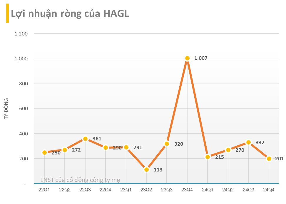 Hoàng Anh Gia Lai (HAG) báo lãi quý 4 hơn 200 tỷ, giảm hơn 80% so với cùng kỳ, lãi lớn với chuối và sầu riêng nhưng lỗ với heo- Ảnh 4.