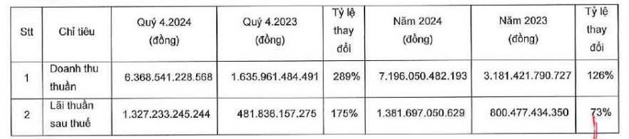 Nam Long báo lãi ròng quý IV/2024 tăng 175% so với cùng kỳ- Ảnh 1.