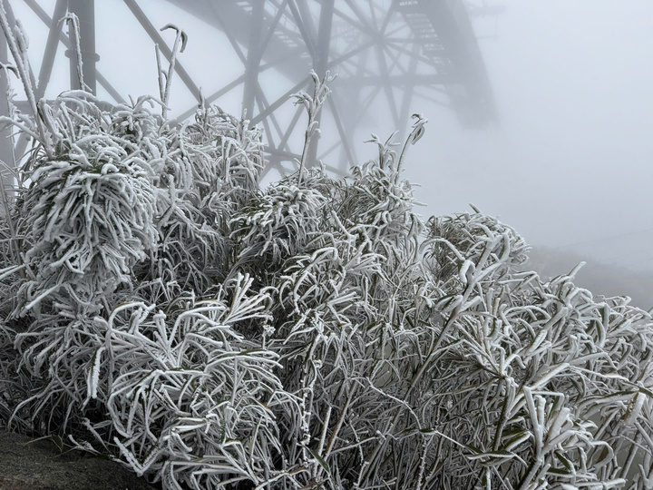 Nhiệt độ xuống -2°C, tuyết rơi dày phủ trắng đỉnh Fansipan- Ảnh 1.