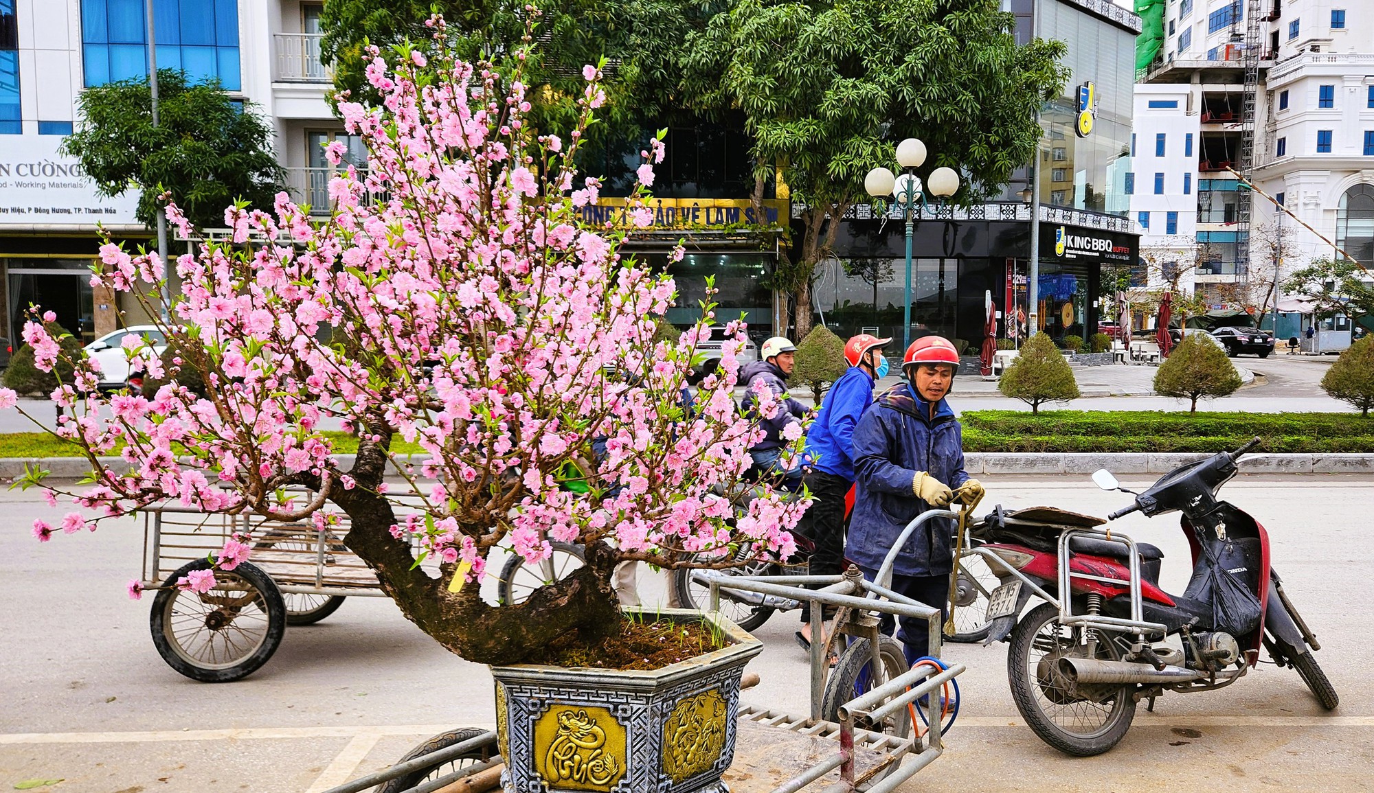 Đào bung nở khắp phố dưới mưa rét, tiểu thương "cắn răng" xả lỗ- Ảnh 7.